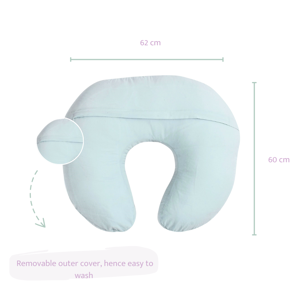 Pets of the Galaxy Feeding Pillow