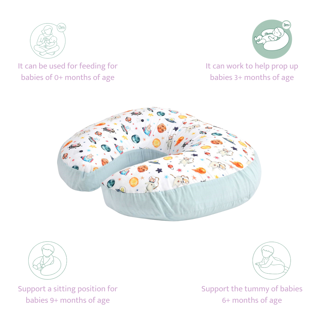 Pets of the Galaxy Feeding Pillow